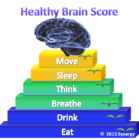 Healthy Brain Score